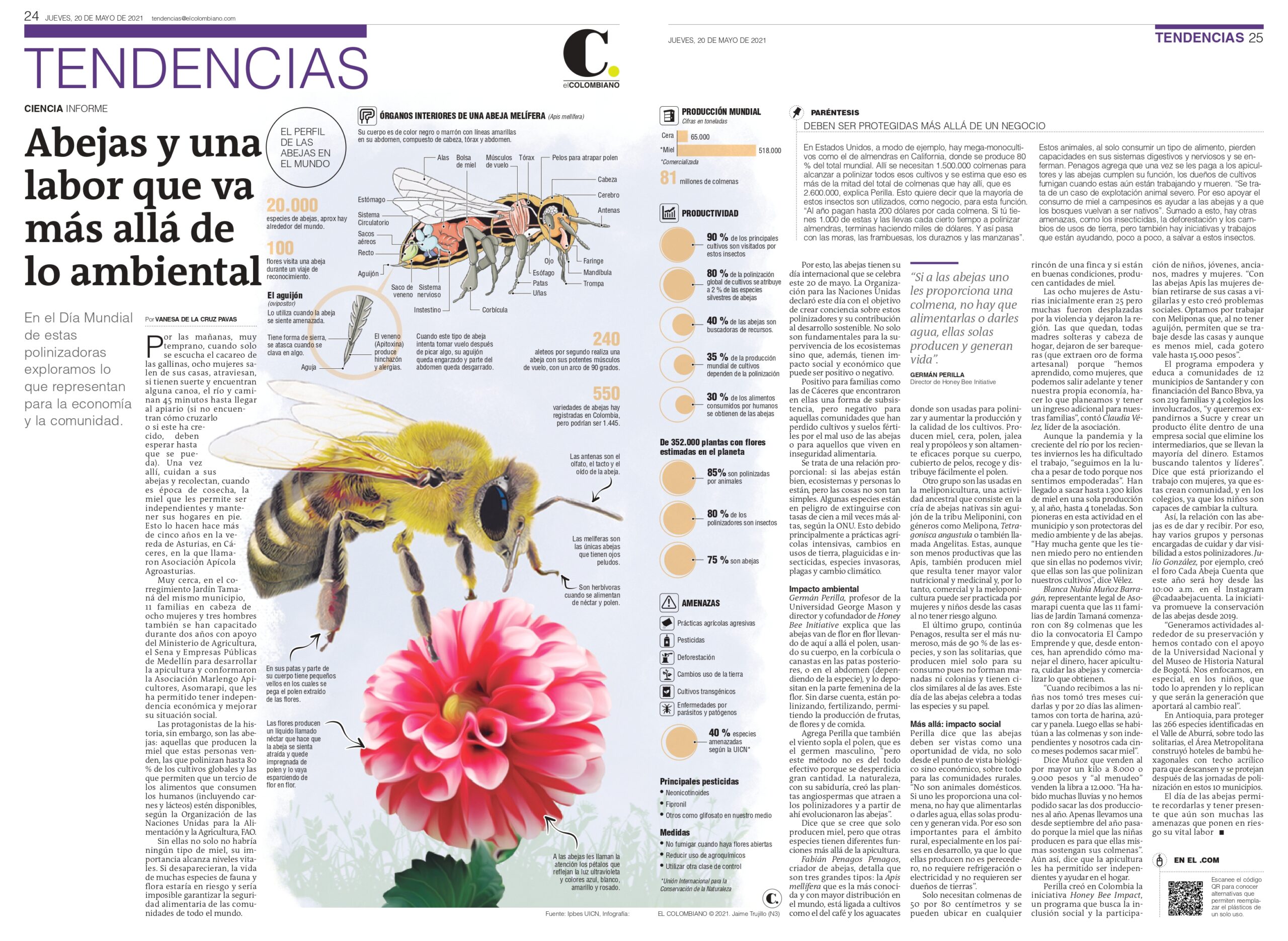 Article on bees by Vanesa de la Cruz, El Colombiano newspaper