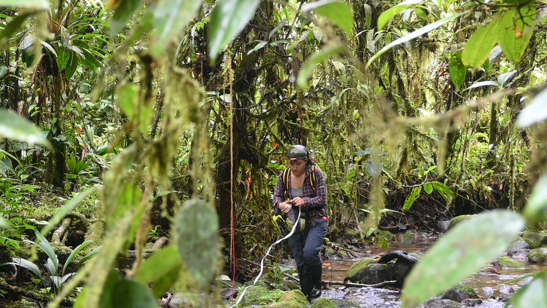 Postdoctoral Researcher Delia Basanta in the field in Panama.