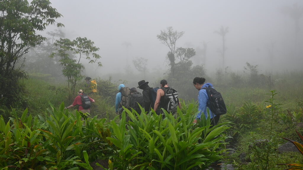 Researchers walking in forest in Panama. By Vanesa de la Cruz.